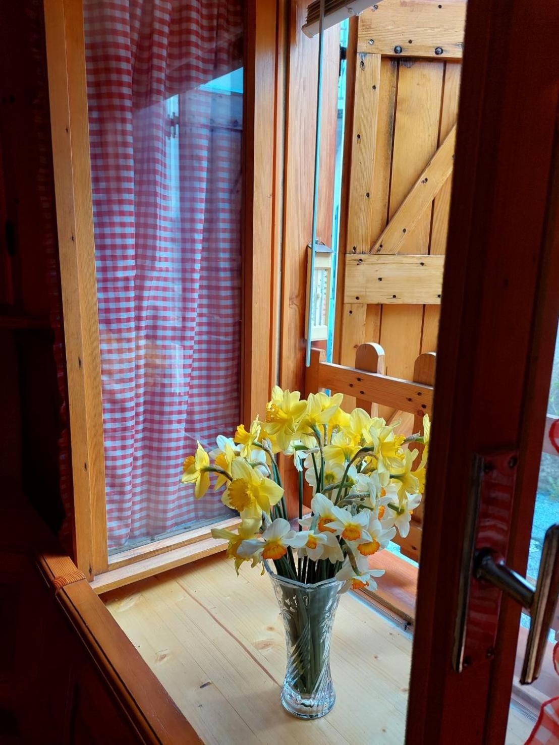 Casa Canale - Residenze Bucaneve