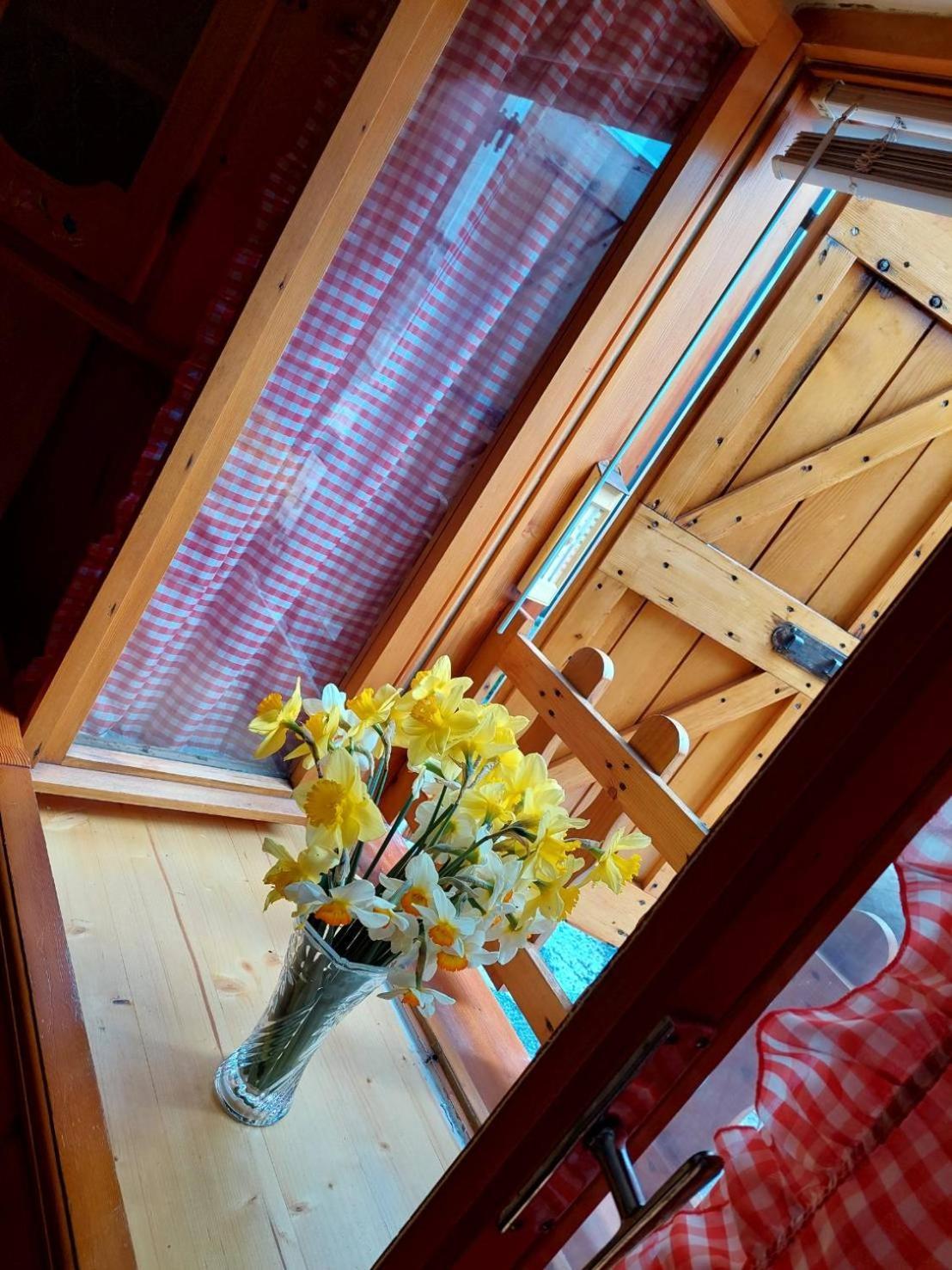 Casa Canale - Residenze Bucaneve